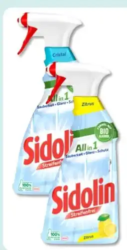 Budni Sidolin Glasreiniger Angebot