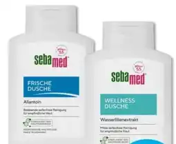 Budni Sebamed Duschgel Angebot