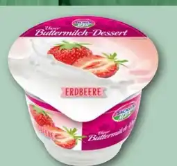 nahkauf Sachsenmilch Unser Buttermilch-Dessert Angebot