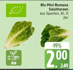 Edeka Bio Mini Romana Salatherzen Angebot