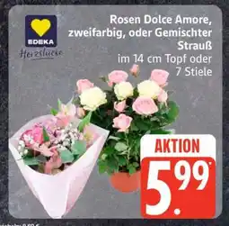Edeka Rosen Dolce Amore Angebot