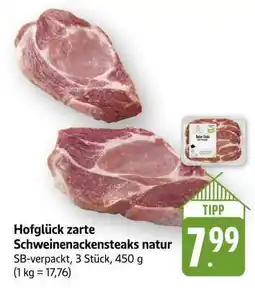 Edeka Hofglück zarte Schweinenackensteaks natur Angebot