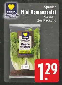 Edeka Mini-Romanasalat Angebot
