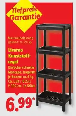 Lidl Livarno Kunststoffregal Angebot