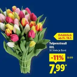 Lidl Tulpenstrauß XXL Angebot
