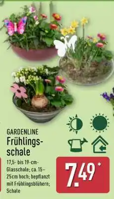 Aldi Nord GARDENLINE Frühlingsschale Angebot