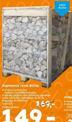 Globus Baumarkt Kaminholz reines buche Angebot
