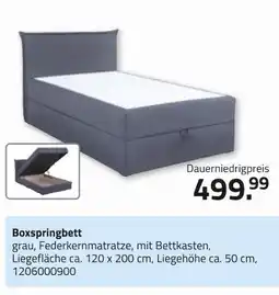 ROLLER Boxspringbett Angebot