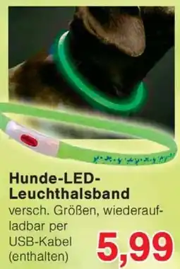 Wiglo Wunderland Hunde-LED Leuchthalsband Angebot
