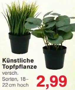 Wiglo Wunderland Künstliche Topfpflanze Angebot