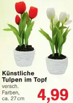 Wiglo Wunderland Künstliche Tulpen im Topf Angebot