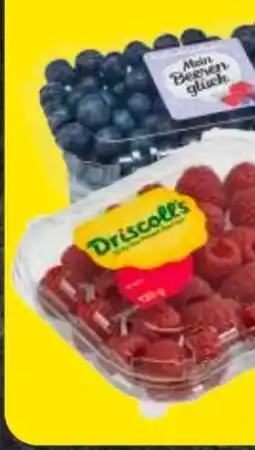 Edeka Frischemarkt Kulturheidelbeeren Angebot