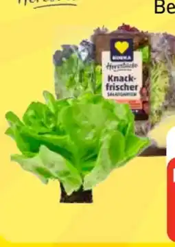 Edeka Frischemarkt Edeka Herzstücke Ballensalat Mix Angebot