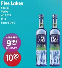 Getränke Hoffmann Five Lakes Special Vodka Angebot