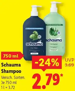 Lidl Schauma Shampoo Angebot