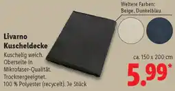 Lidl Livarno Kuscheldecke Angebot