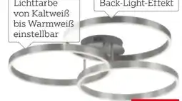 XXXLutz Paul Neuhaus LED-Deckenleuchte Paan Angebot