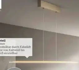 XXXLutz Fischer & Honsel LED-Hängeleuchte Torvi Angebot