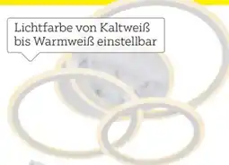 XXXLutz Fischer & Honsel LED-Deckenleuchte Gelder Angebot