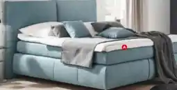 XXXLutz Dieter Knoll Boxspringbett Angebot