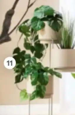 XXXLutz Ambia Kunstpflanze Angebot