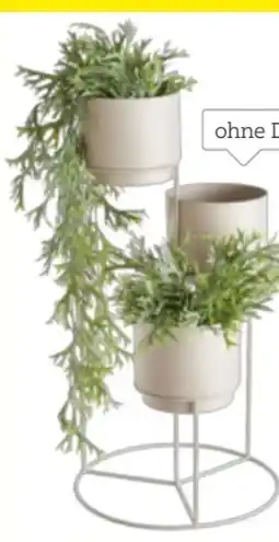 XXXLutz Ambia Pflanztopf Angebot