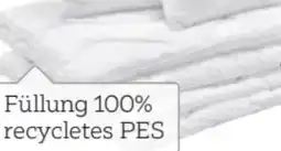 XXXLutz Sleeptex Ganzjahresbett Levante Angebot