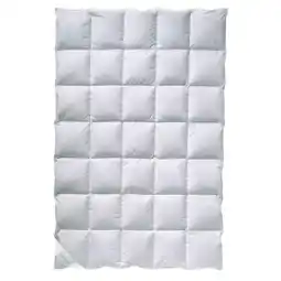 XXXLutz Billerbeck Daunendecke Polarstern Angebot