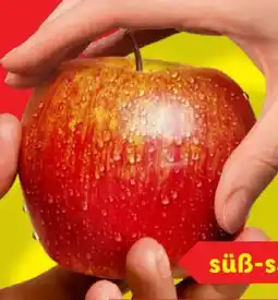 Lidl Äpfel Angebot