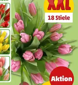 PENNY Tulpen-Strauß XXL Angebot