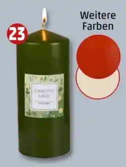 PENNY Stumpenkerze XL Angebot