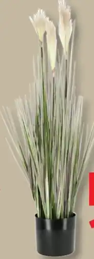 Lidl Livarno Home Kunstpflanze Angebot