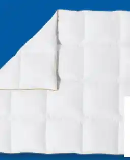 Lidl Balette DeLuxe Gänsedaunen-Kassettenbettdecke Gold-Edition Angebot