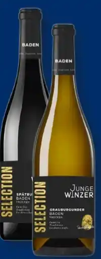 Lidl Junge Winzer Grauburgunder Angebot