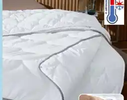 Aldi Nord Novitesse 4-Jahreszeiten-Steppbett Angebot