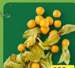 Aldi Nord Physalis Angebot