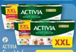 Aldi Nord Danone Activia Fruchtmix XXL Angebot