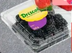 Edeka Driscoll's Brombeeren Angebot