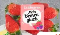 Edeka Driscoll's Erdbeeren Angebot