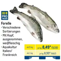 METRO Forelle Angebot