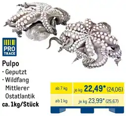 METRO Pulpo Angebot