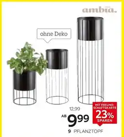 XXXLutz Ambia home pflanztopf Angebot