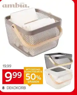 XXXLutz Ambia home dekokorb Angebot