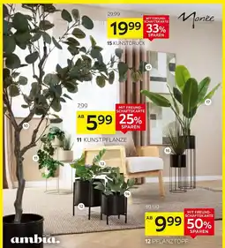 XXXLutz Ambia home kunstpflanze Angebot