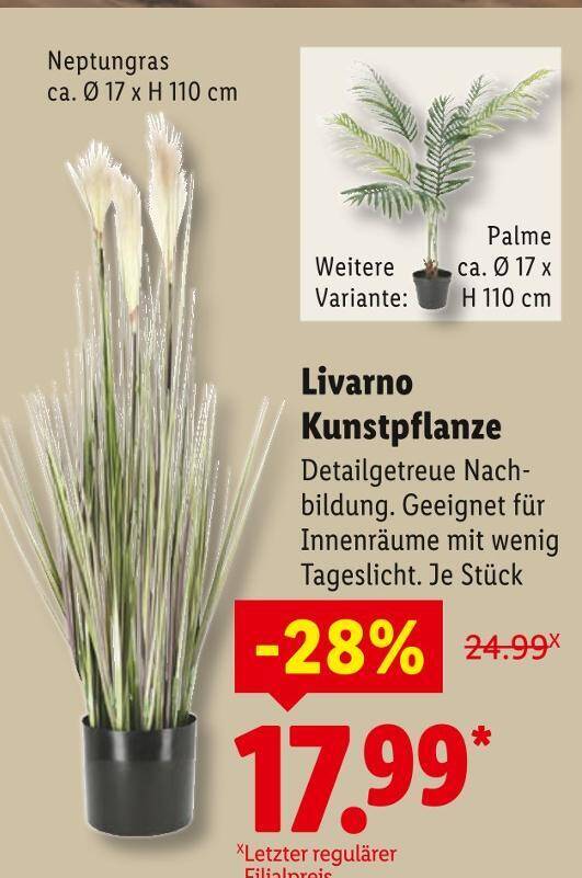 Livarno kunstpflanze neptungras Angebot bei Lidl