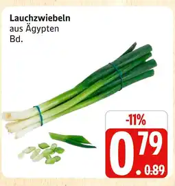 Marktkauf Lauchzwiebeln Angebot