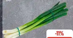 Edeka Lauchzwiebeln Angebot