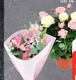 Edeka Edeka Herzstücke Rosen Dolce Amore Angebot