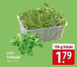 Famila Nord Ost Italien Feldsalat Angebot