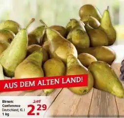 Multi Markt Birnen Conference Angebot